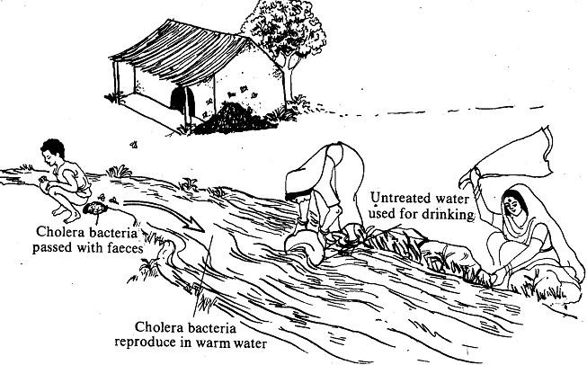 an analysis of municipal drinking water in united states of america today Water and wastewater treatment market size and forecast, as drinking water is a vital priority for the population, united states. an analysis of municipal drinking water in united states of america today Water and wastewater treatment market size and forecast, as drinking water is a vital priority for the population, united states.