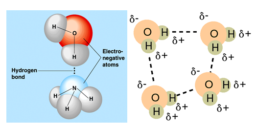 chemical bond essay Free chemical bonding papers, essays, and research papers. chemical bond essay Free chemical bonding papers, essays, and research papers.