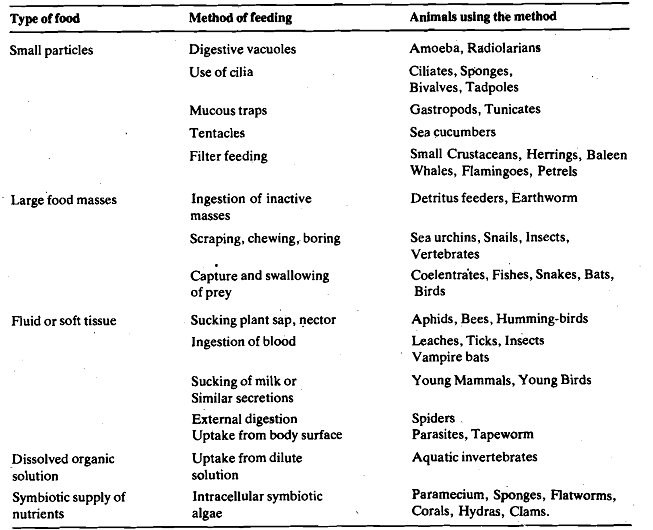 Feeding Mechanisms Of Animals Biology