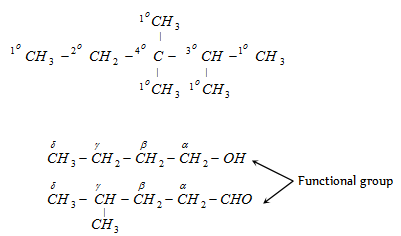 Classification essay friends