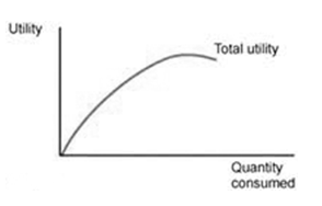 Consumer Behavior Total Utility Assignment Help