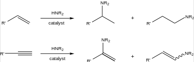 1041_Hydroamination.png