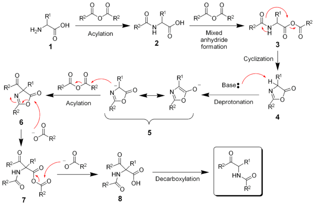 1261_Dakin–West-reaction-mechanism.png