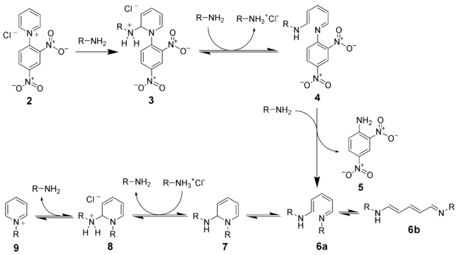 1310_Zincke-reaction-mechanism1.png