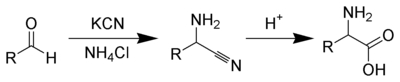 1453_Strecker-amino-acid-synthesis.png