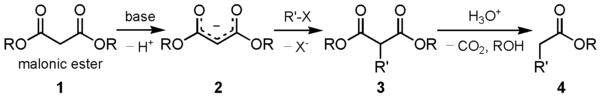 1519_Malonic-ester-synthesis.png