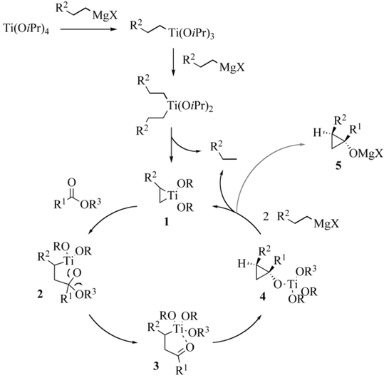 1653_Kulinkovich-reaction-mechanism.png