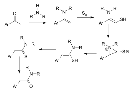 1666_Willgerodt-rearrangement-mechanism.png