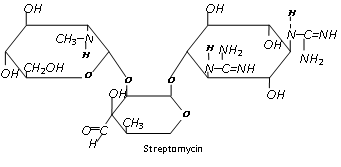 1756_antibiotic1.png