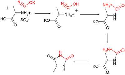 176_Urech-hydantoin-synthesis-mechanism.png