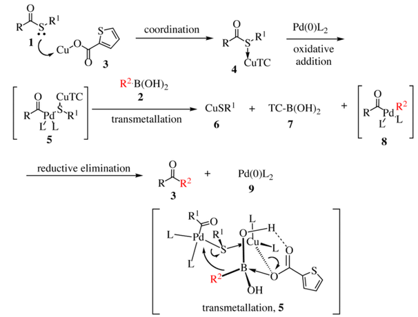 1911_Liebeskind–Srogl-coupling-mechanism.png