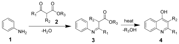 2019_Conrad–Limpach-synthesis.png