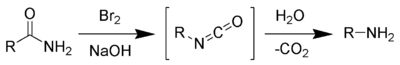 210_Hofmann-rearrangement.png