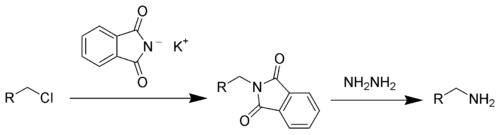 2225_Gabriel-synthesis.png