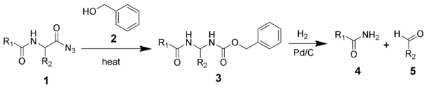 2230_Bergmann-degradation.png