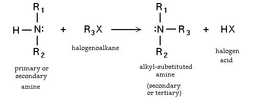 231_Amine-alkylation.png