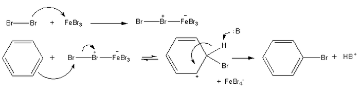 41_Electrophilic-halogenation-mechanism.png