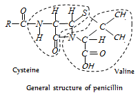 515_antibiotic.png