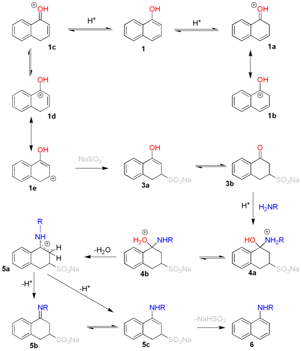 64_Bucherer-reaction-mechanism.png