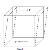 1013_Shear Stress.png