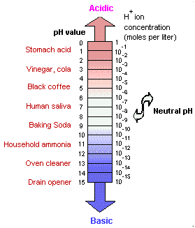 Explain acid and bases, Explain acid and bases? Acids and Bases : Some ...