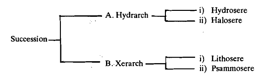 1016_Kinds of Succession - Ecology.png