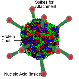 1018_Virus genomes.png