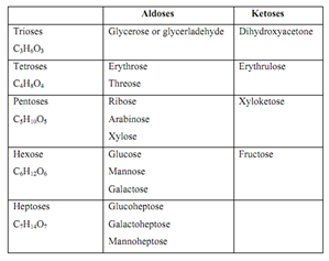 1031_Define Sugars - Chemistry and Functionality.png