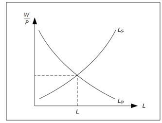 1039_Equilibrium in the labor market.png