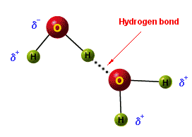 1044_hydrogen bonds.png