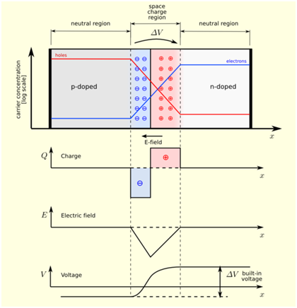 1054_Zero-Bias Equilibrium 2.png