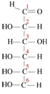 1055_Monosaccharide Sugar.png