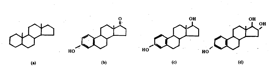 1065_Estrogens.png