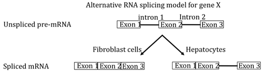 1078_RNA.png