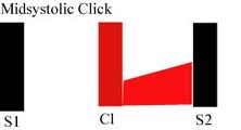 1085_Midsystolic click.png