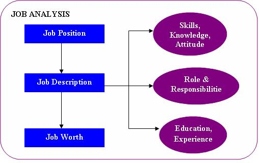 1087_job analysis.png