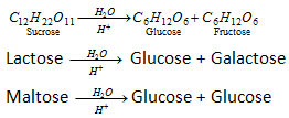 1129_dissaccharides.png