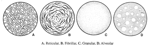 1139_protoplasm.png