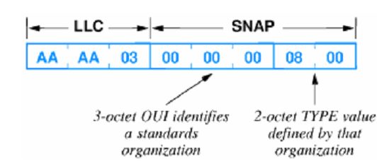 1154_ENCODING THE DATA TYPE1.png