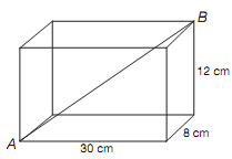 1170_Determine the length of the diagonal.png