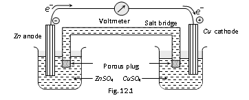 1170_electrochemical cell.png