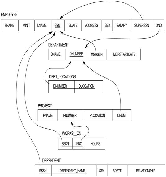 1172_Create a Company Database 1.png