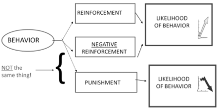 1203_Explain about Operant conditioning1.png