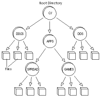 1205_Directory structure.png