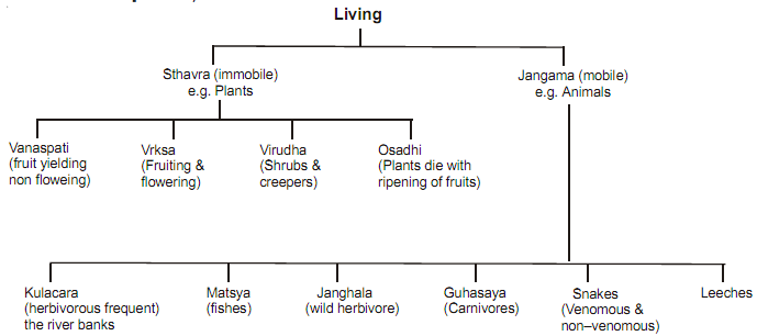 1211_biology in ancient india1.png
