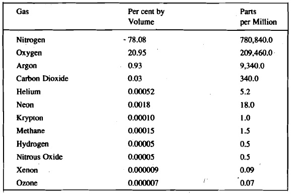 1225_composition table.jpg