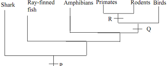 1243_biology.png