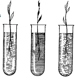 1250_biology.png