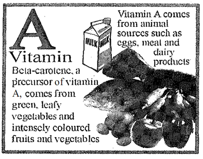 125_Food Sources of vitamin A.png