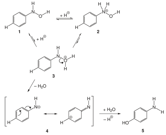 1296_mechanism-Bamberger-rearrangement.png